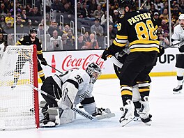 David Pastr�ák p�ed branká�em Darcym Kuemperem.