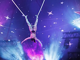 Akrobatické kousky, z nich� se tají dech, jsou neodmyslitelnou sou�ástí show. V...
