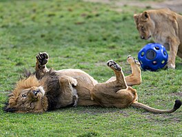 Zoo Praha, nástup jara, jaro, b�ezen 2026