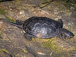 Zoo Praha, nástup jara, jaro, b�ezen 2026