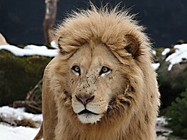 Zoo Dvorec, krmení, krmivo, spot�eba, 2026