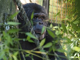 Zoo Dvorec, krmení, krmivo, spot�eba, 2026