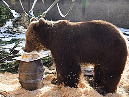 Zoo Dvorec, krmení, krmivo, spot�eba, 2026