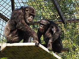 Zoo Dvorec, krmení, krmivo, spot�eba, 2026