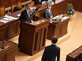 Pravidelné ústní interpelace na �leny vlády. Na snímku premiér Andrej Babi�...