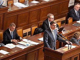 Pravidelné ústní interpelace na �leny vlády. Na snímku p�edseda strany ODS...