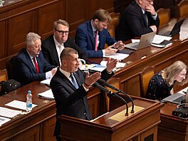Pravidelné ústní interpelace na �leny vlády. Na snímku p�edseda vlády Andrej...