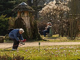 Rozkvetlý zámecký park v Kostelci nad Orlicí na Rychnovsku 