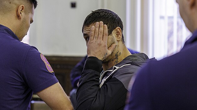 Valentyn Vasylovi� Dziubenko je ob�alovan� z loupe�e p�ed barem s n�sledkem smrti a zn�siln�n� ve v�znici. (10. b�ezna 2026)