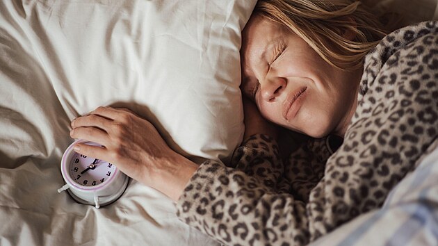 ilustra�n� sn�mek