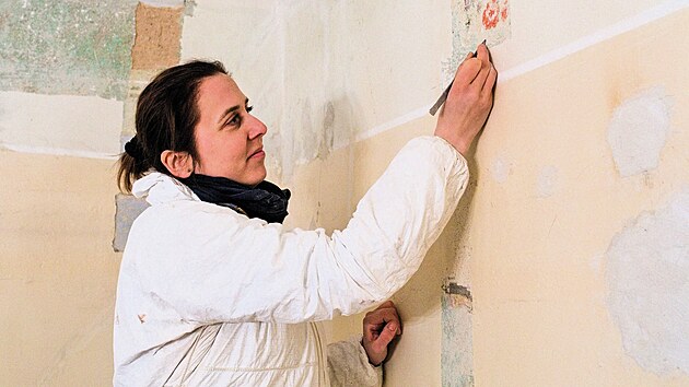 Na z�mku Stekn�k nedaleko �atce prob�hl dopl�uj�c� restaur�torsk� pr�zkum. Odborn�ci v ji�n�m k��dle pam�tky zkoumali vz�cn� n�st�nn� malby, kter� jsou z velk� ��sti dosud ukryt� pod nov�j��mi vrstvami om�tek a n�t�r�. (b�ezen 2026)