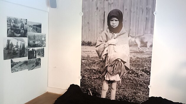 Ve Wieserov� dom� v Terez�n� se otev�ela nov� st�l� expozice Centra studi� genocid Terez�n. Multimedi�ln� projekt nazvan� Zlo�in beze jm�na mapuje z�sadn� zlo�iny proti lidskosti, kter� se ud�ly v minul�m stolet�. (b�ezen 2026)