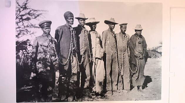 Ve Wieserov� dom� v Terez�n� se otev�ela nov� st�l� expozice Centra studi� genocid Terez�n. Multimedi�ln� projekt nazvan� Zlo�in beze jm�na mapuje z�sadn� zlo�iny proti lidskosti, kter� se ud�ly v minul�m stolet�. (b�ezen 2026)