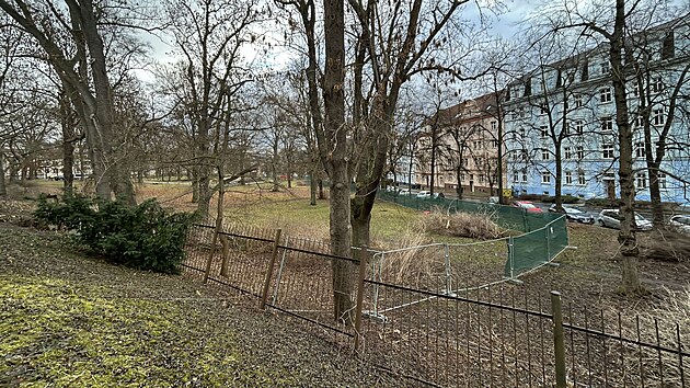 V centru �st� nad Labem za�ala obnova v�ce ne� sto let star�ch M�nesov�ch sad�. (b�ezen 2026)