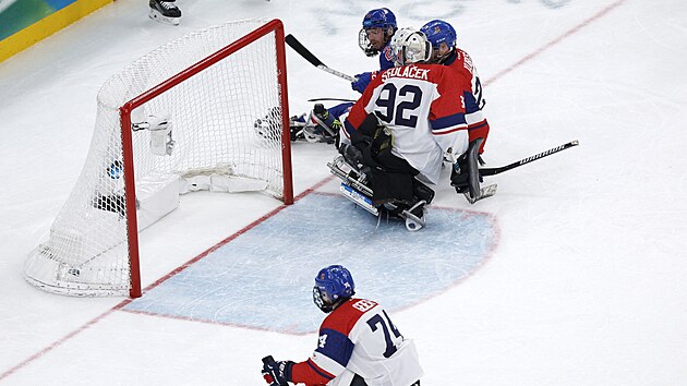 Paralimpik Oyunları: Parahokey oyuncusu Michal Geier yarı finalde kaybettikten sonra