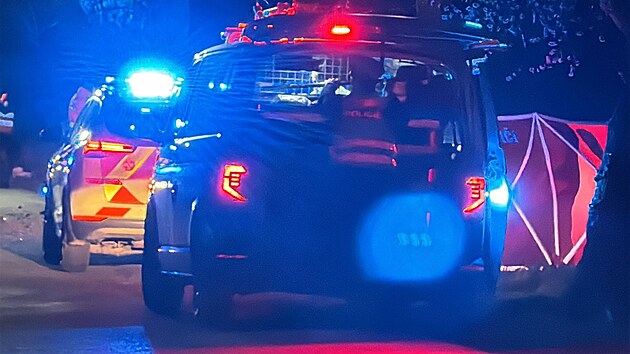 Slo�ky integrovan�ho z�chrann�ho syst�mu zasahuj� u tragick� nehody mezi Ba�t� a P�edbojem, kde �idi� osobn�ho auta narazil do stromu a st�et nep�e�il (17. b�ezna 2026)