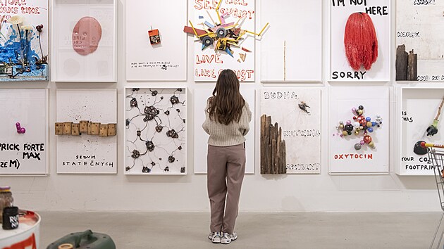 V�stava v pra�sk�m Centru sou�asn�ho um�n� DOX. (12. �nora 2026)