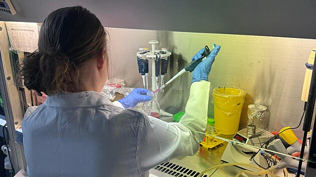 �estn�ctilet� studentka pracuje na v�deck�m v�zkumu na Vysok� �kole chemicko-technologick� v Praze.