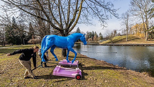 Na vodu v hradeck�ch �imkov�ch sadech spou�t�j� prvn�ho z kon� Michala Gabriela. (9. b�ezna 2026)