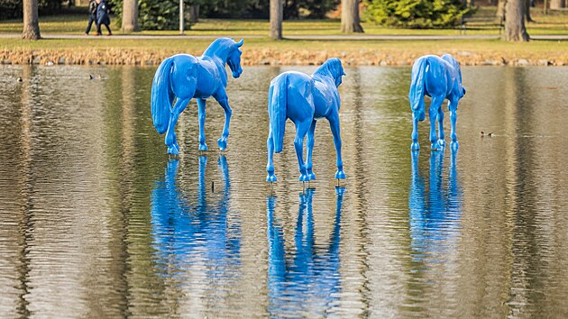 T�i mod�� kon� od socha�e Michala Gabriela jsou k vid�n� v Hradci Kr�lov�, kr��ej� nad hladinou jez�rka. (9. b�ezna 2026)