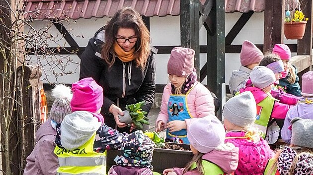 Rodinn� farma Ko�eny v Lipn� u Hazlova spolupracuje se z�kladn�mi a st�edn�mi �kolami. D�ti u nich zji��uj�, �e zelenina neroste v supermarketech.