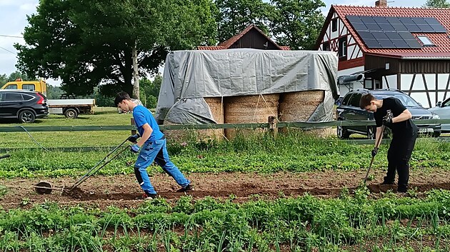 Rodinn� farma Ko�eny v Lipn� u Hazlova spolupracuje se z�kladn�mi a st�edn�mi �kolami. D�ti u nich zji��uj�, �e zelenina neroste v supermarketech.