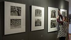 SeveroÄ�esk�© muzeum v Liberci vystav�­ grafiky, kresby i ilustrace Romana Karpaše