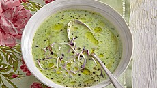 Polévka z medv�dího �esneku