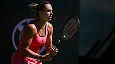 Aryna Sabalenková na turnaji v Indian Wells.