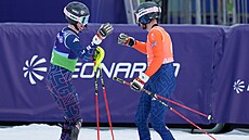 Britský paraly�a� Neil Simpson a jeho vodicí ly�a� Robert Poth.