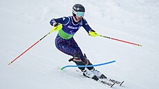 Britský paraly�a� Neil Simpson
