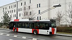 Testování nové trolejbusové linky Na Kní�ecí - U Waltrovky. (12. b�ezna 2026)