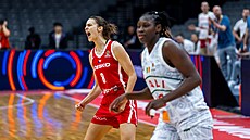 Veronika Vorá�ková b�hem utkání s Mali v kvalifikaci o MS.