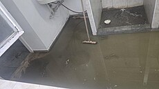 �Spla�ky jim zatopily p�ízemí a vy�e�ili to tak, �e vykopali strouhu a odvedli...