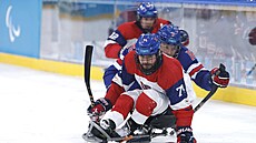 Michal Geier ují�dí Ameri�anovi Farmerovi b�hem paralympijského semifinále.