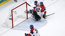 Momentka z paralympijského semifinále mezi �eskem a USA.