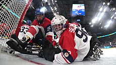 �eský parahokejový branká� Patrik Sedlá�ek hledá kotou� v paraolympijském...