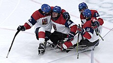 �e�tí parahokejisté se radují z gólu do sít� Kanady.