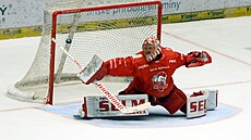 Mat�j Machovský inkasuje gól v zápase s T�incem.