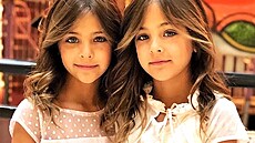 Odhadované �isté jm�ní dvoj�at Clementsových v sou�asnosti �iní více ne� 1,2...