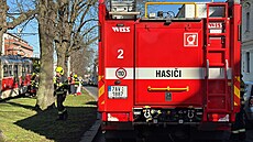 Dívku v Praze srazila tramvaj, na míst� zem�ela. (13. b�ezna 2026)