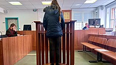 Matka t�íletého chlapce je ob�alovaná ze zlo�inu týrání sv��ené osoby ve...