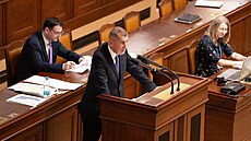 Pravidelné ústní interpelace na �leny vlády. Na snímku premiér Andrej Babi�...