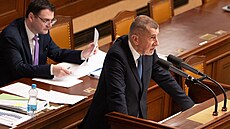 Pravidelné ústní interpelace na �leny vlády. Na snímku premiér Andrej Babi�...