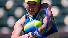 Linda Nosková ve �tvrtfinále turnaje v Indian Wells.