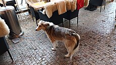 Starom�stské nám�stí