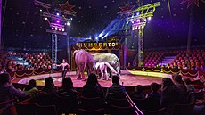 Desítky let na cestách, stovky nav�tívených m�st a generace divák�. Taková je...