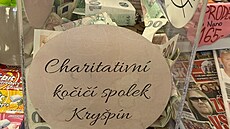 Kv�tiná�ství a trafika, ve kterém zlod�j ukradl finan�ní sbírku pro...