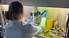 �estnáctiletá studentka pracuje na v�deckém výzkumu na Vysoké �kole...