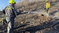 Po�ár lesa v Návsi likvidovalo devatenáct jednotek hasi��. Ohe� se kv�li...